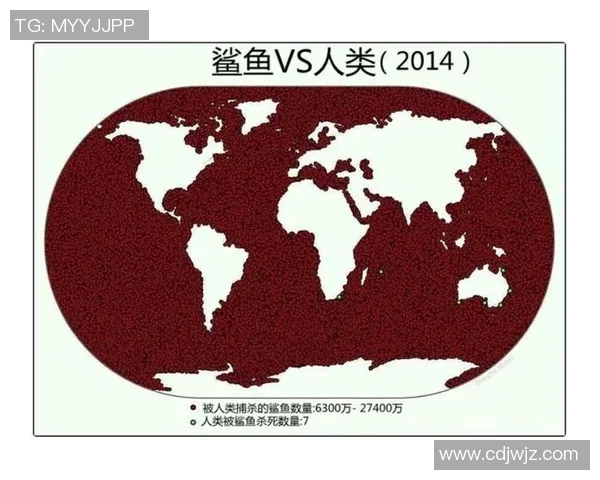 深海猎手与海洋探险者的对决鲨鱼与人类之间的生存博弈